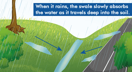Swales