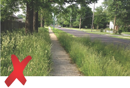 Homeowners Guide Yard Maintenance